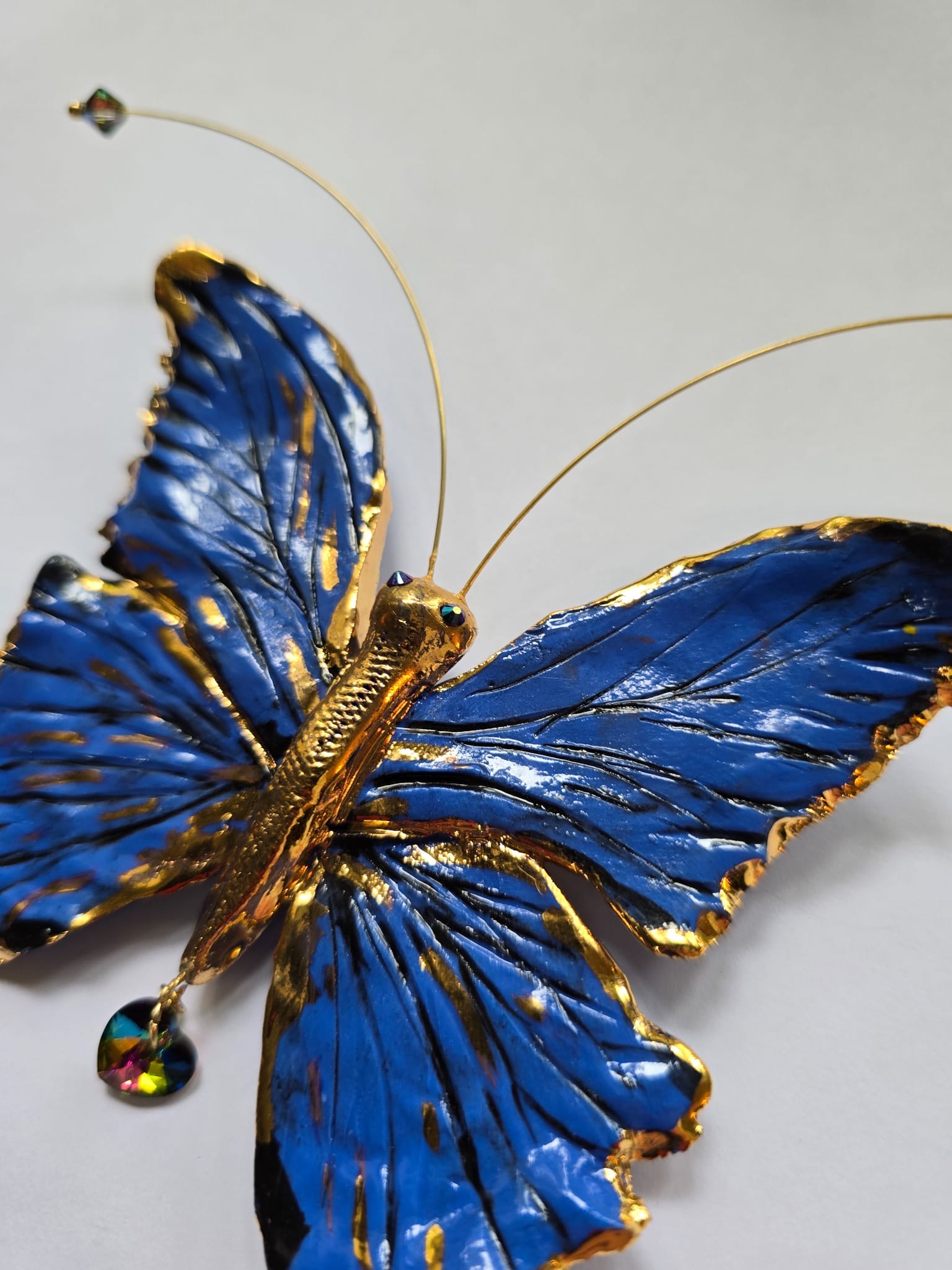 Papillon Bleu Impérial - obrazek 2