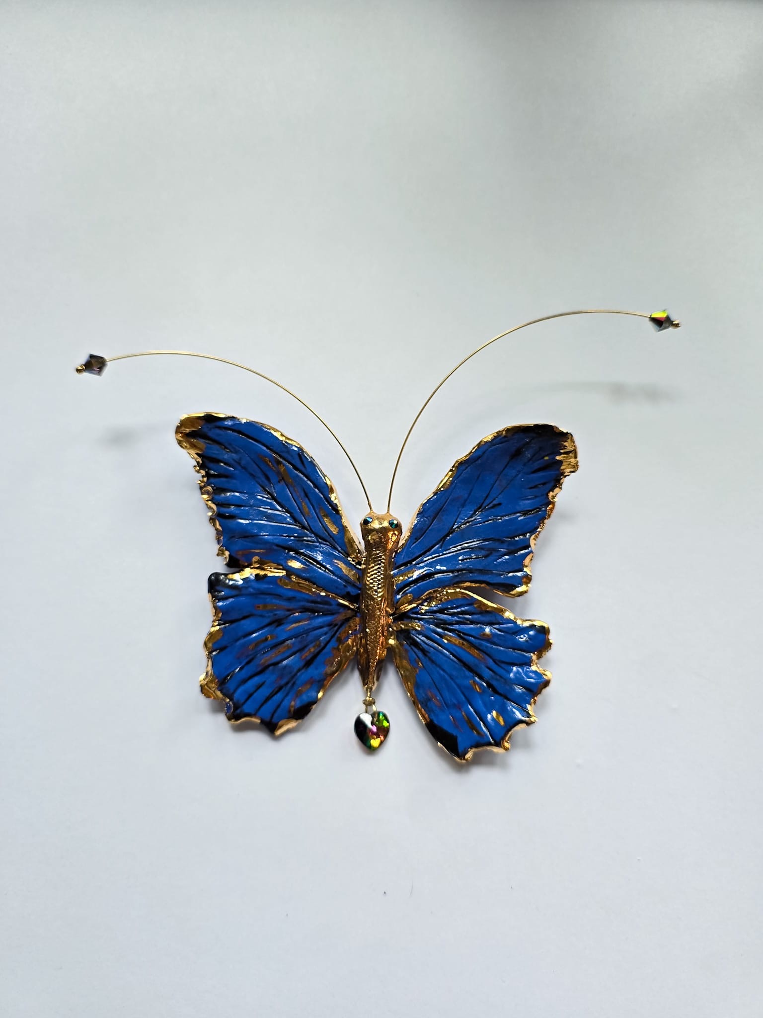 Papillon Bleu Impérial - obrazek 3